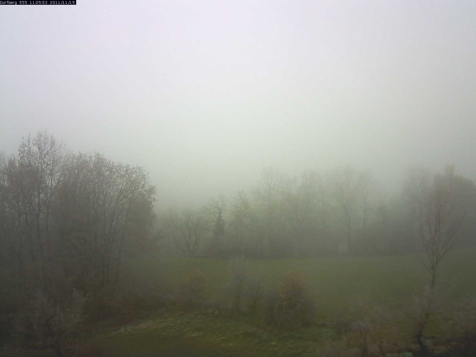 Webcam-Bild: Aussicht vom Dorfberg in Langnau 20111115-110600