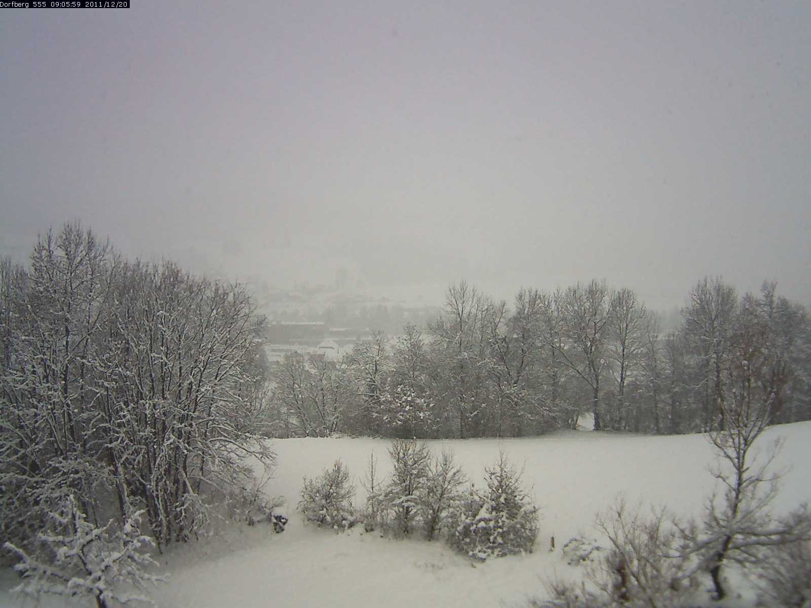 Webcam-Bild: Aussicht vom Dorfberg in Langnau 20111220-090600