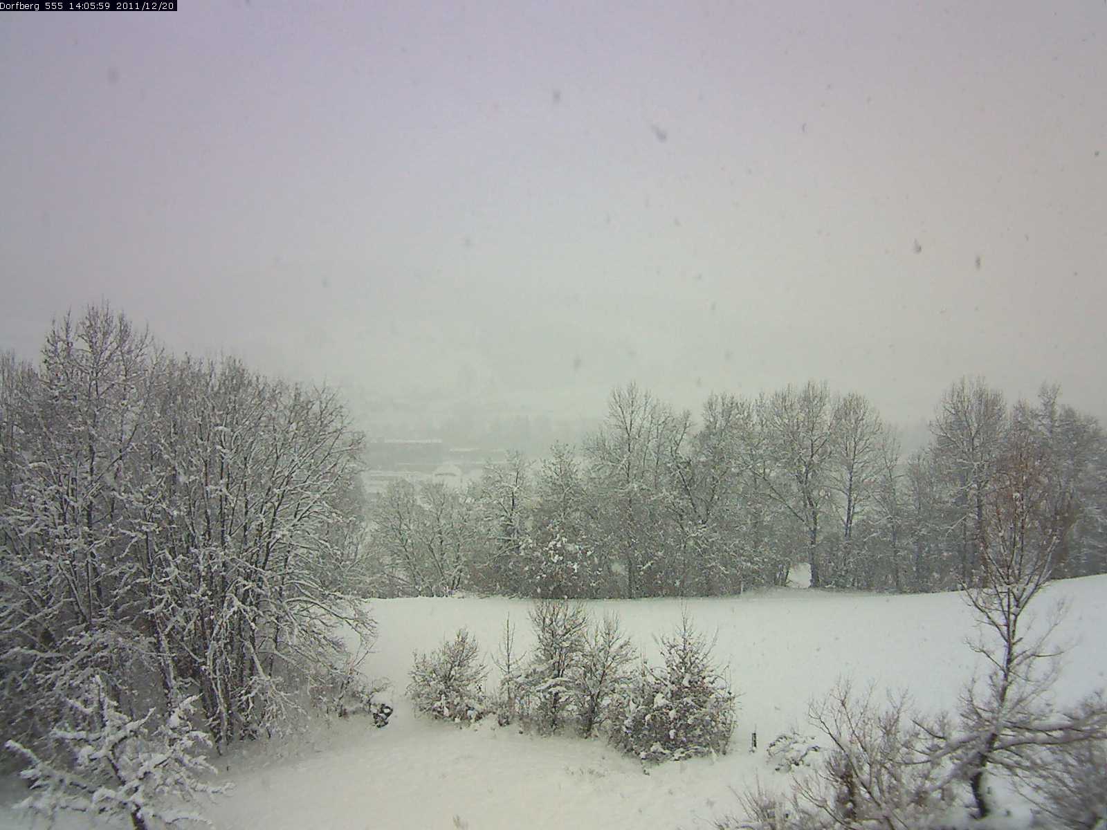 Webcam-Bild: Aussicht vom Dorfberg in Langnau 20111220-140600