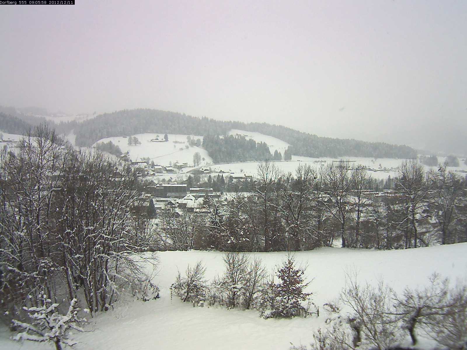Webcam-Bild: Aussicht vom Dorfberg in Langnau 20121211-090600