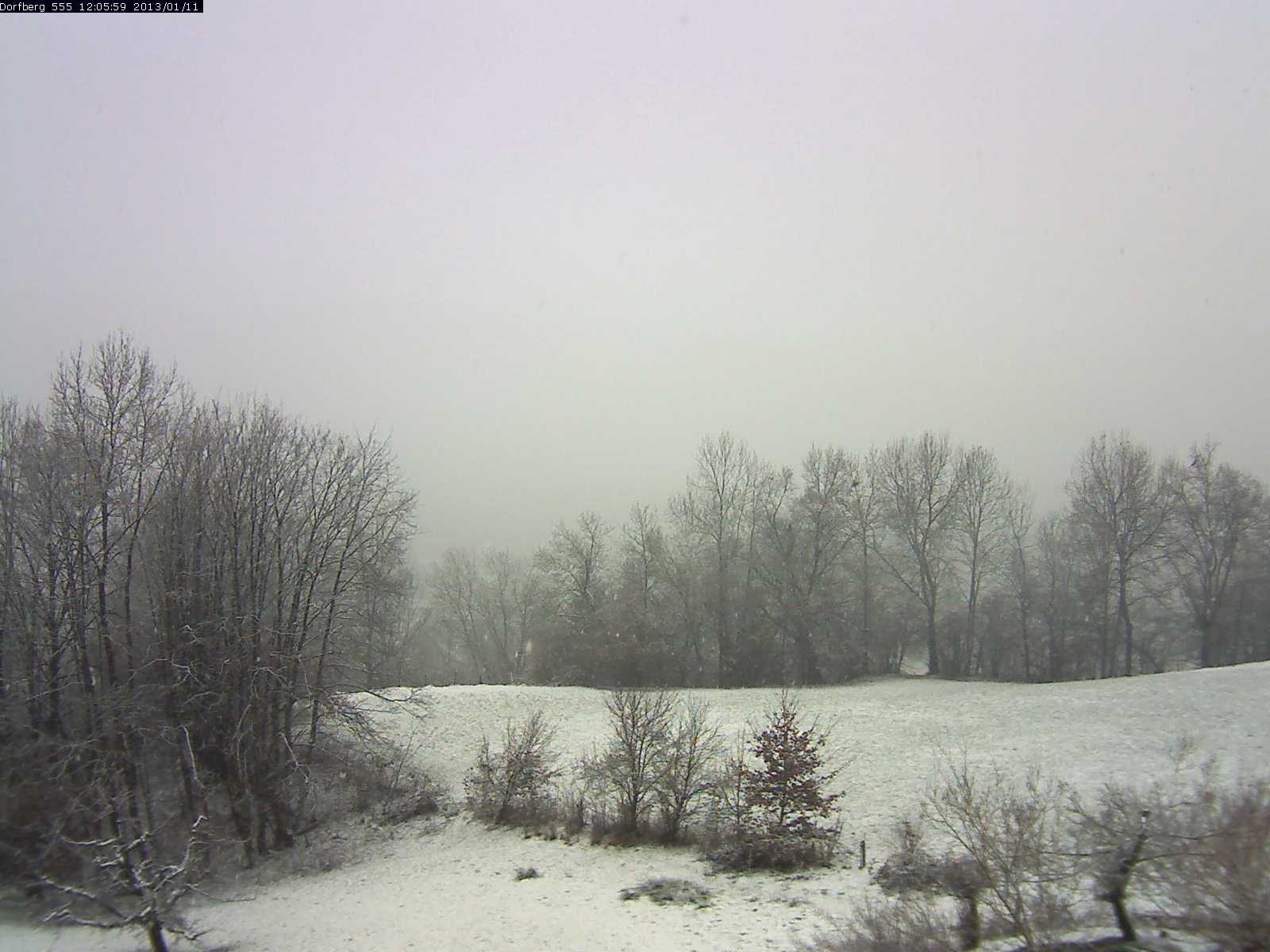 Webcam-Bild: Aussicht vom Dorfberg in Langnau 20130111-120600