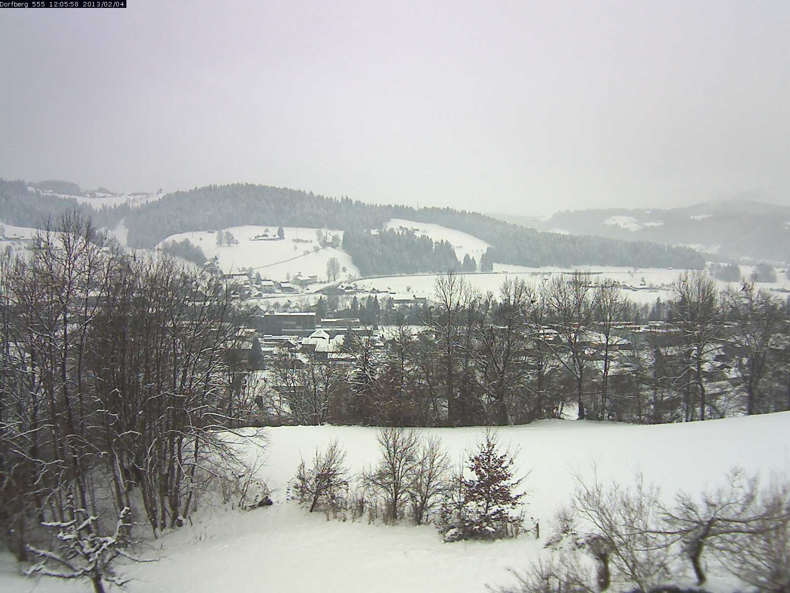 Webcam-Bild: Aussicht vom Dorfberg in Langnau 20130204-120600