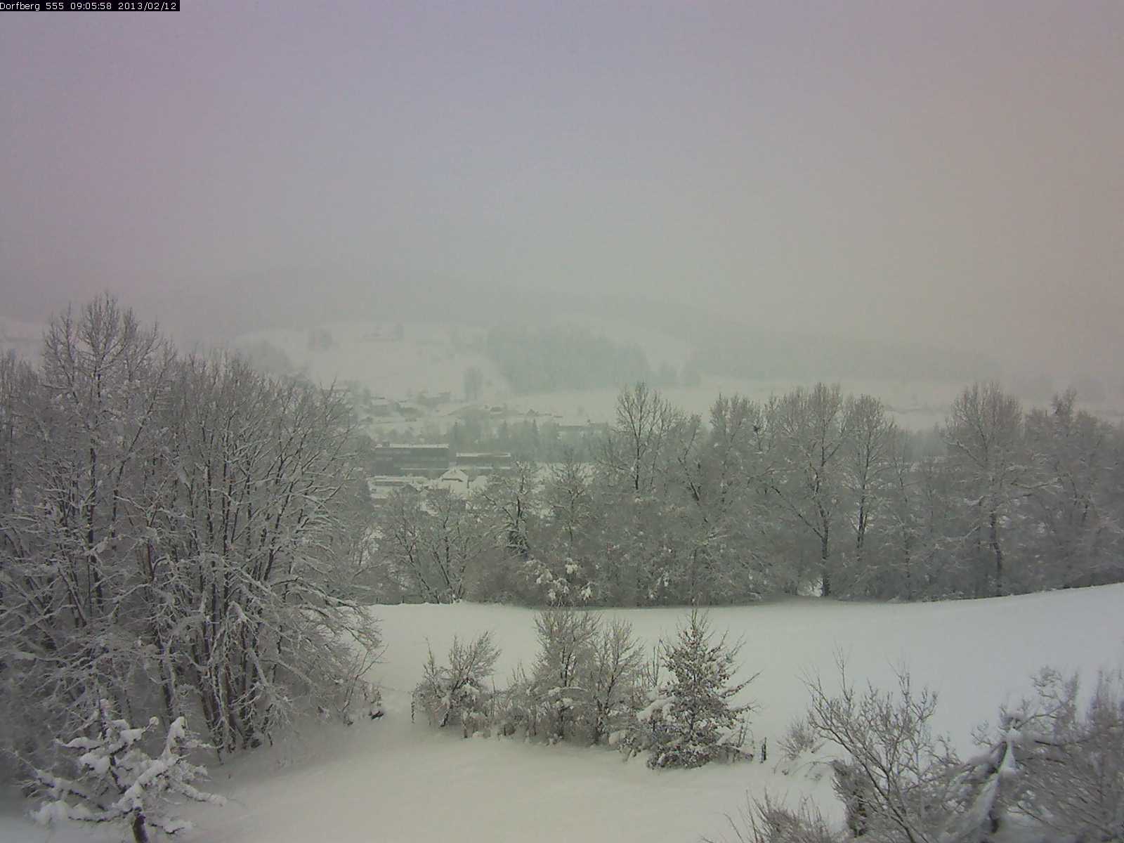 Webcam-Bild: Aussicht vom Dorfberg in Langnau 20130212-090600