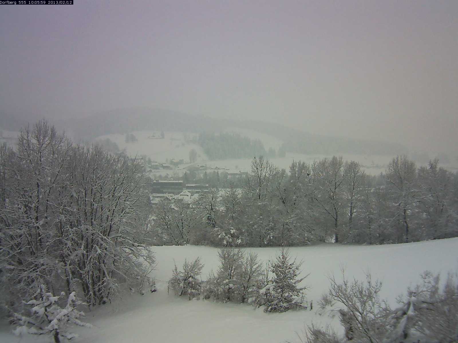 Webcam-Bild: Aussicht vom Dorfberg in Langnau 20130212-100600