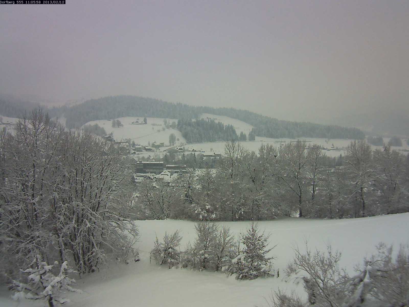 Webcam-Bild: Aussicht vom Dorfberg in Langnau 20130212-110600