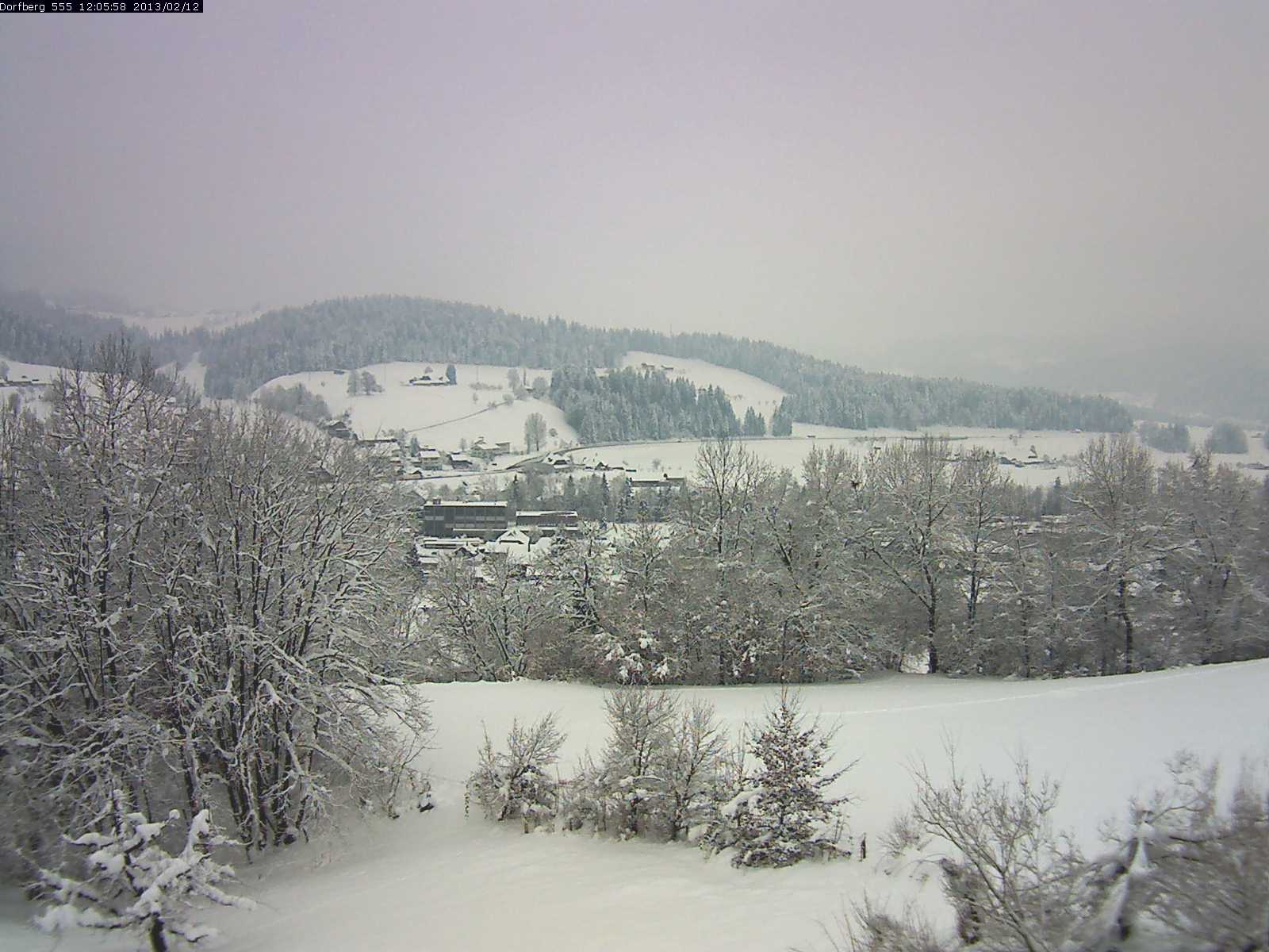 Webcam-Bild: Aussicht vom Dorfberg in Langnau 20130212-120600