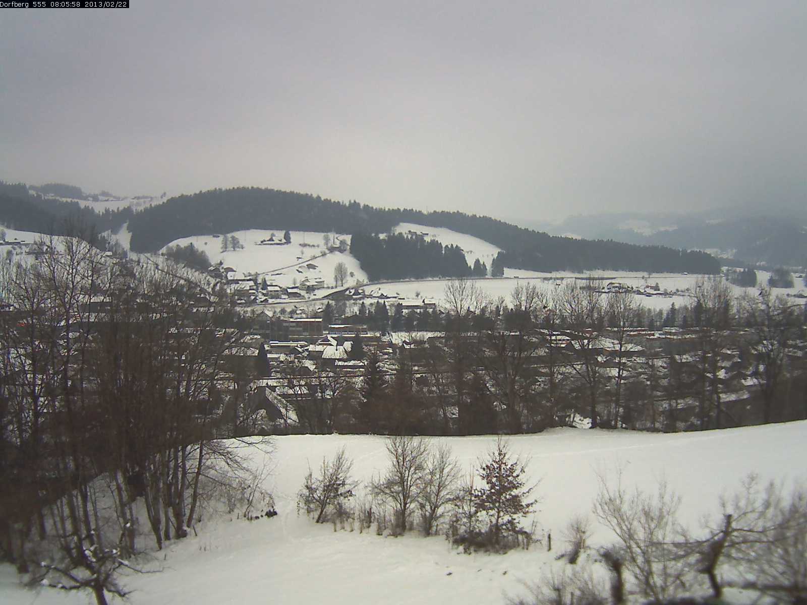 Webcam-Bild: Aussicht vom Dorfberg in Langnau 20130222-080600