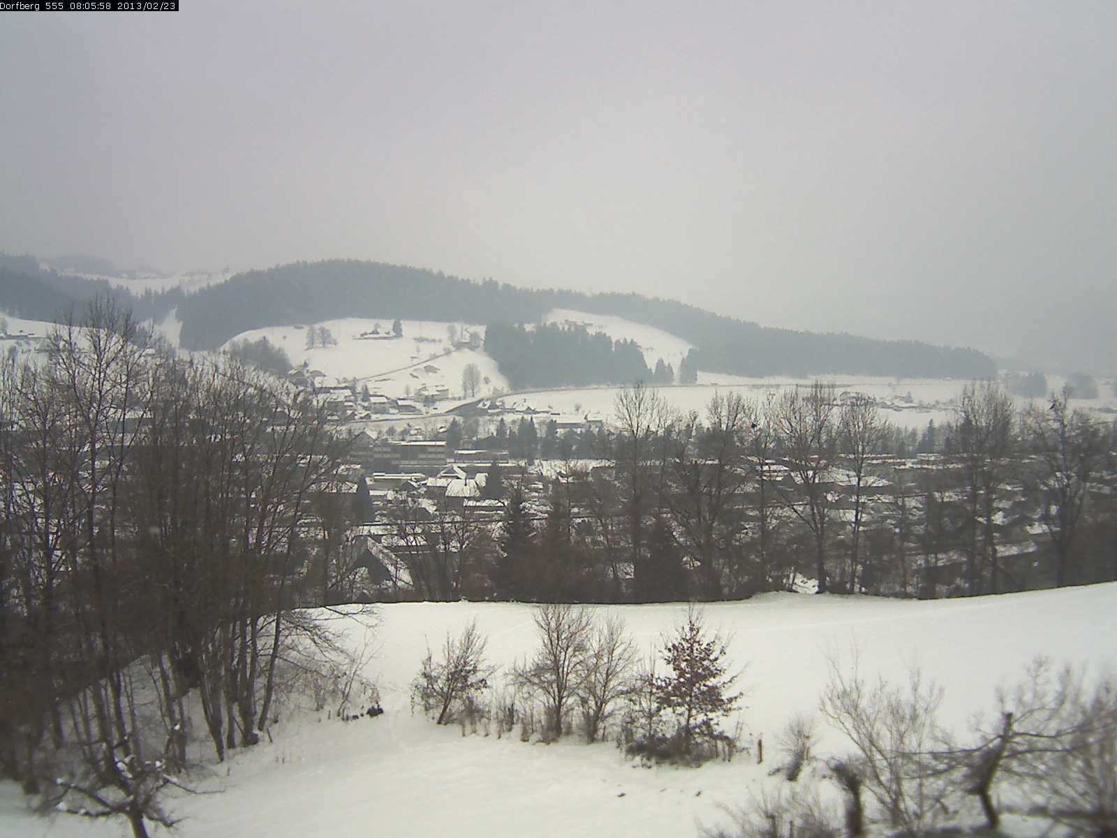 Webcam-Bild: Aussicht vom Dorfberg in Langnau 20130223-080600