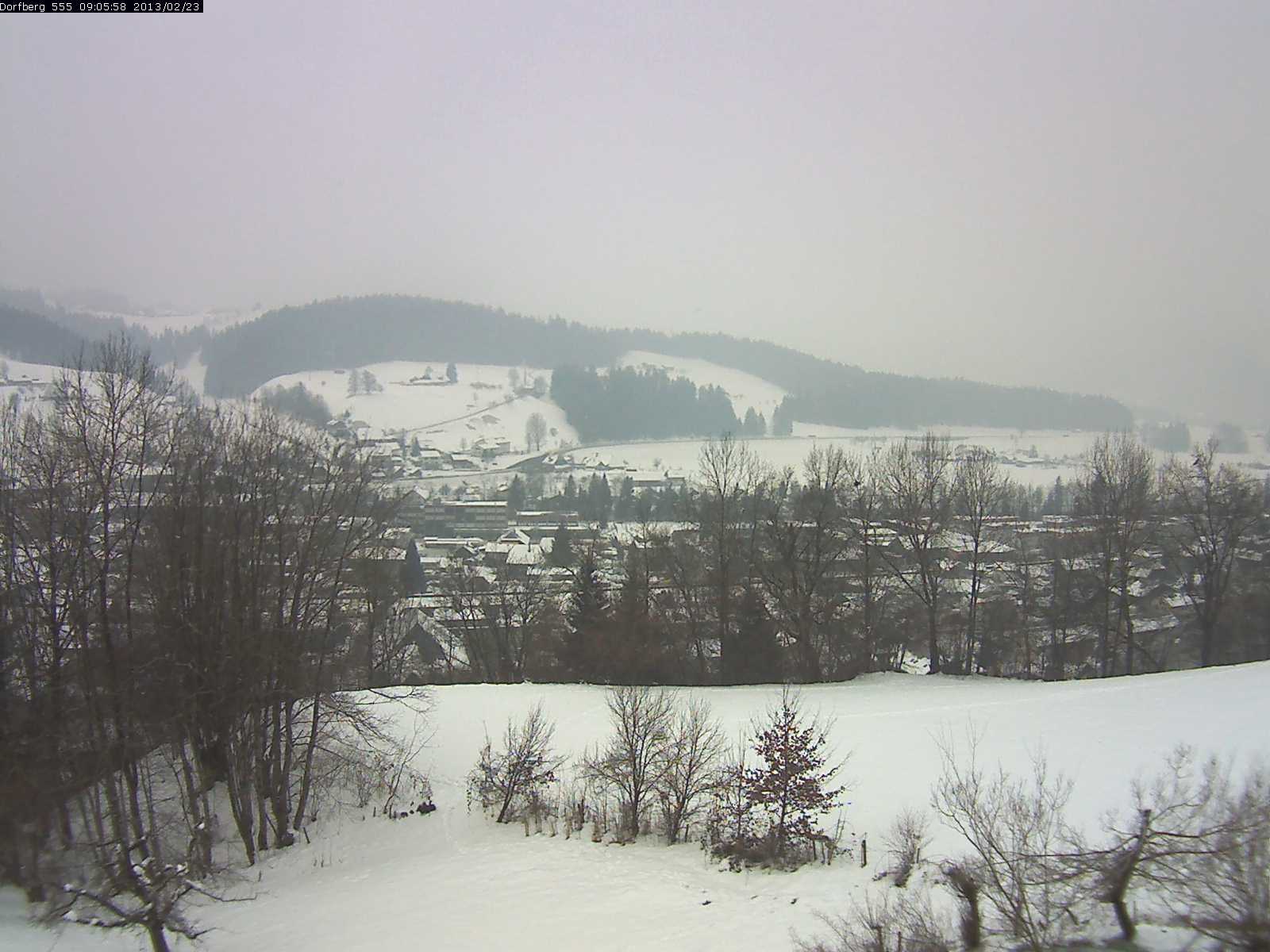Webcam-Bild: Aussicht vom Dorfberg in Langnau 20130223-090600