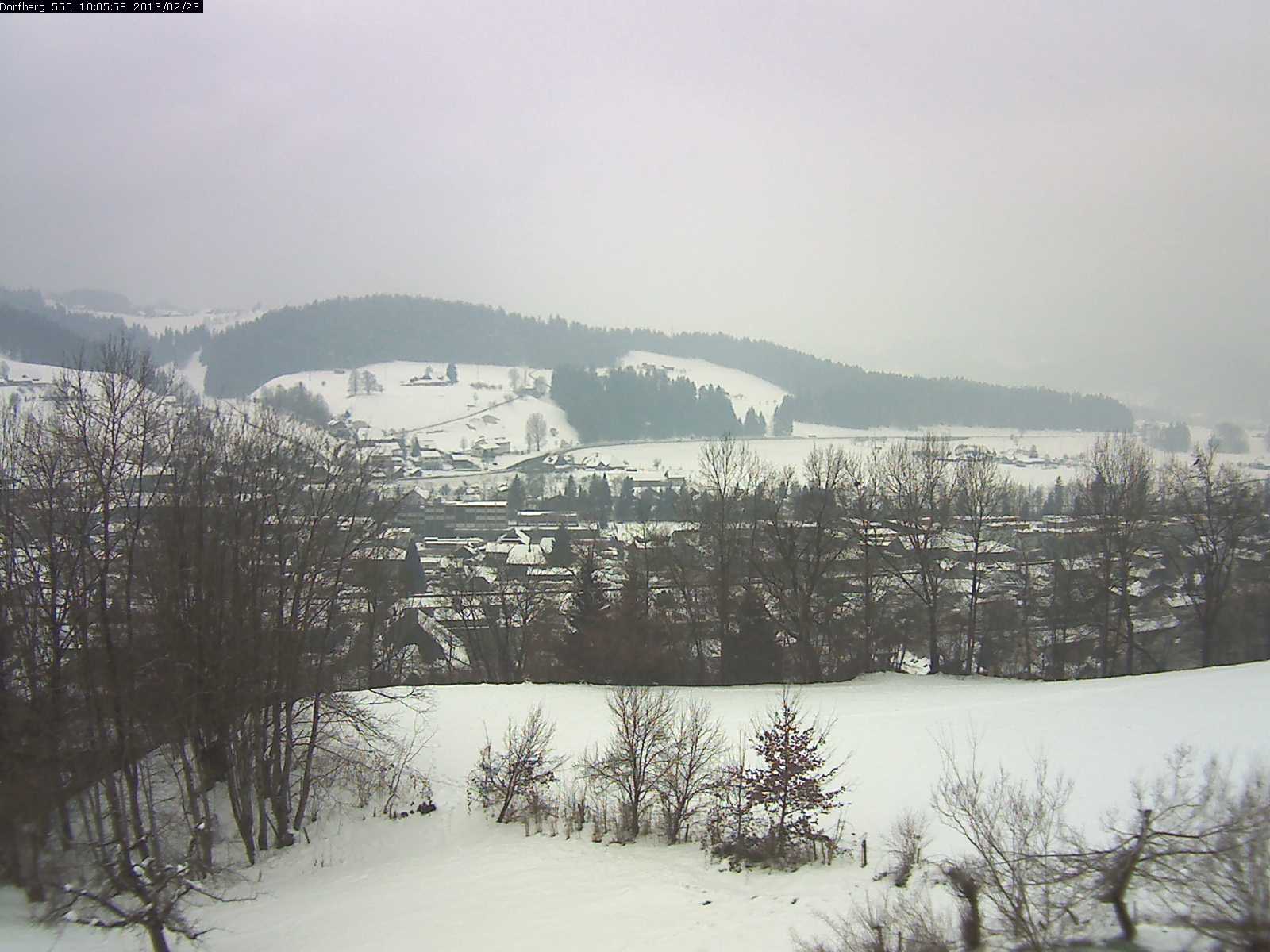 Webcam-Bild: Aussicht vom Dorfberg in Langnau 20130223-100600