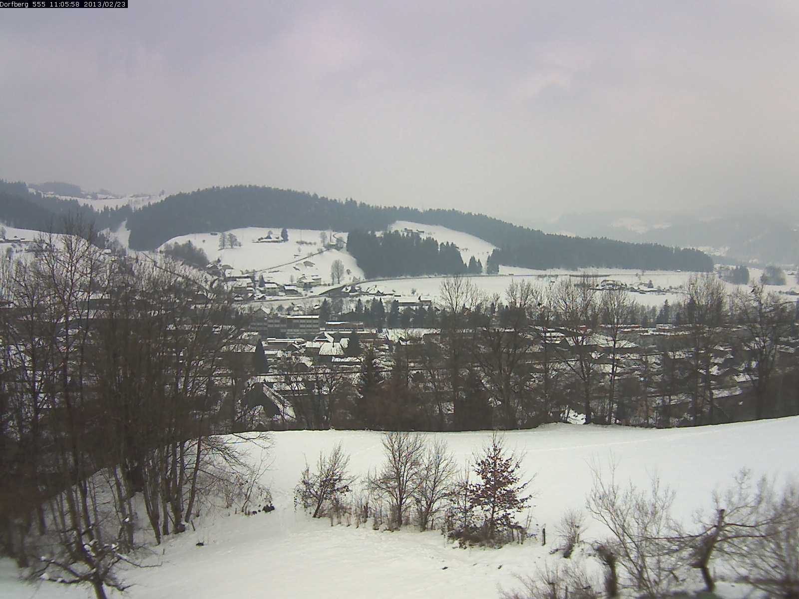 Webcam-Bild: Aussicht vom Dorfberg in Langnau 20130223-110600