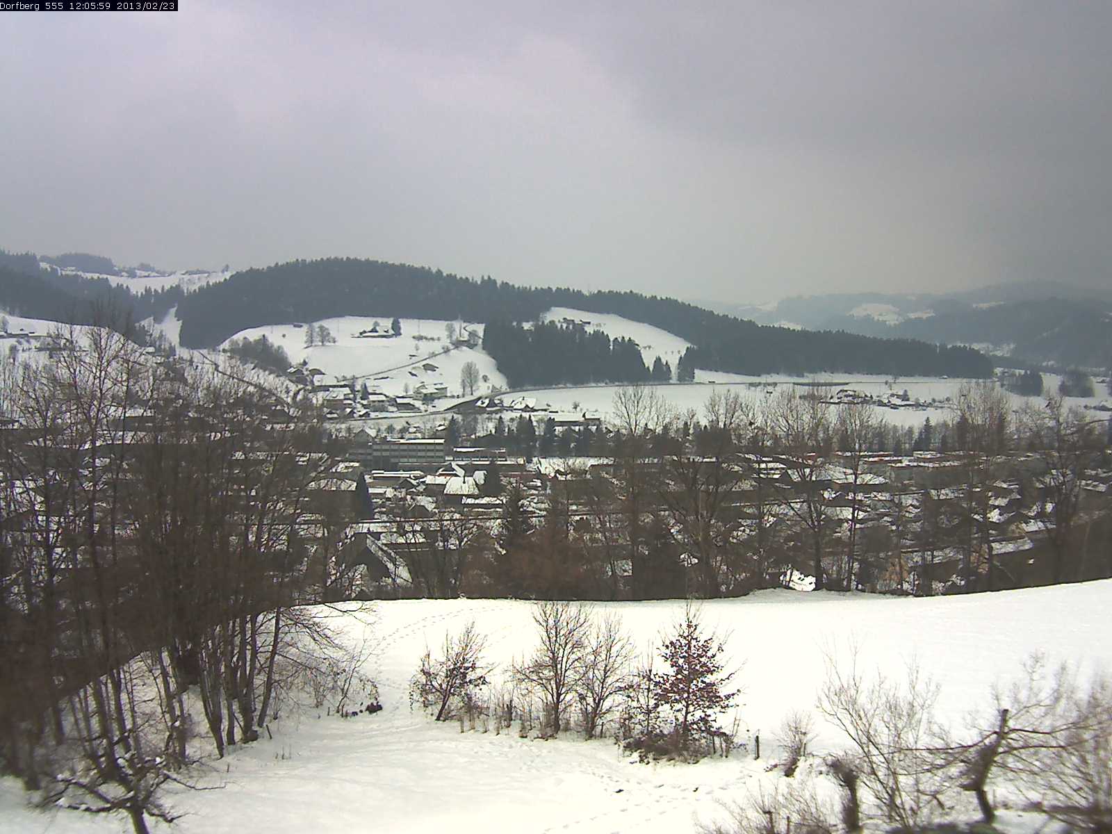 Webcam-Bild: Aussicht vom Dorfberg in Langnau 20130223-120600