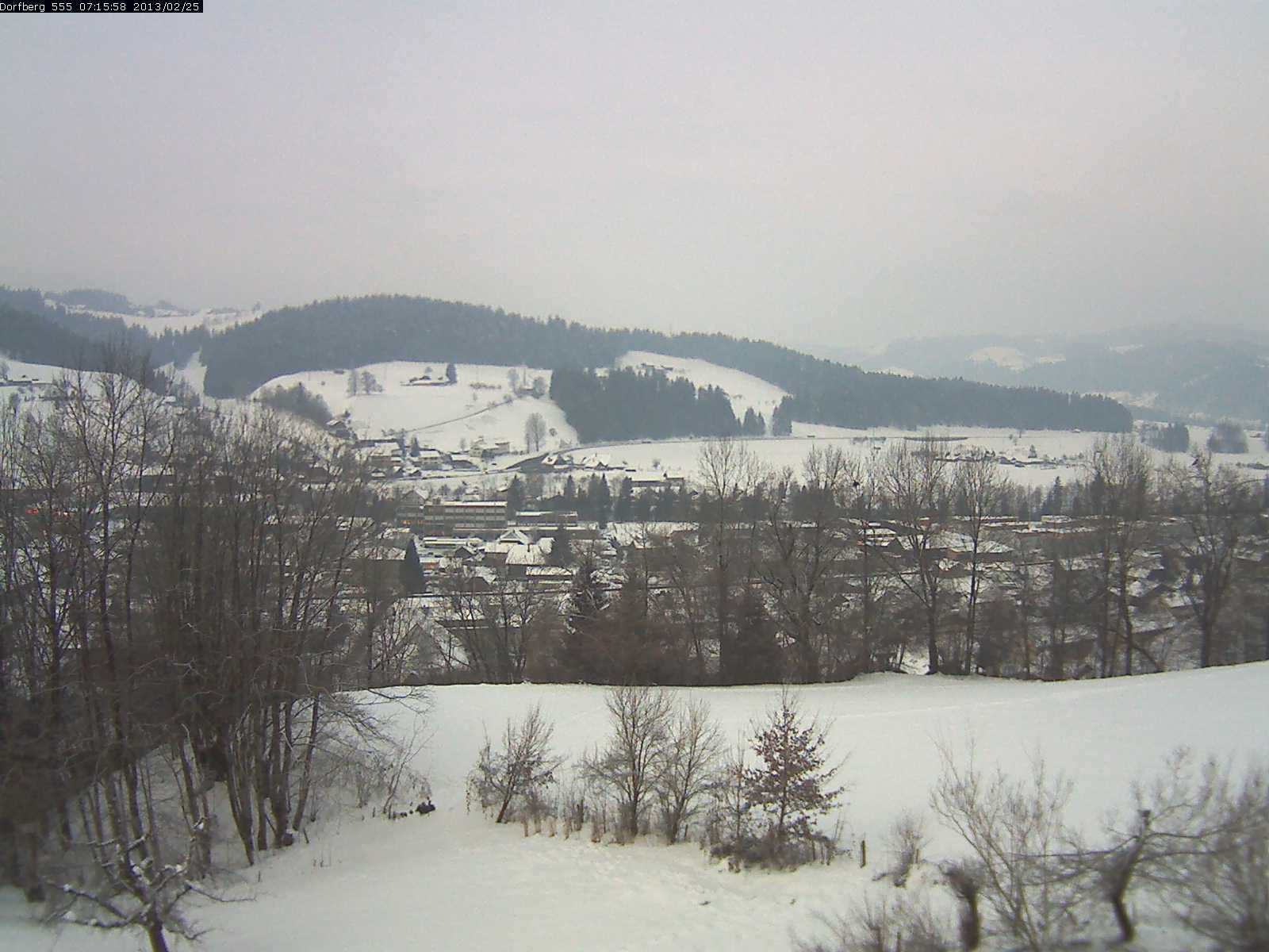 Webcam-Bild: Aussicht vom Dorfberg in Langnau 20130225-071600