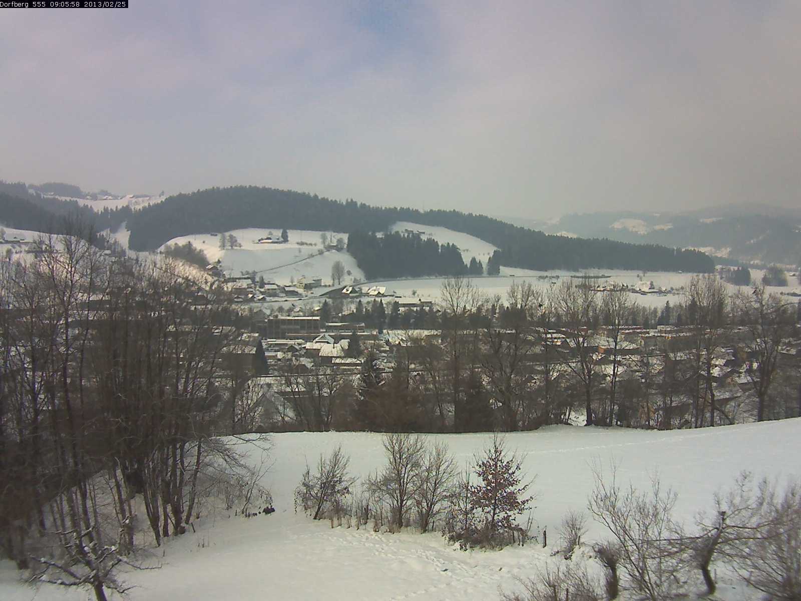 Webcam-Bild: Aussicht vom Dorfberg in Langnau 20130225-090600