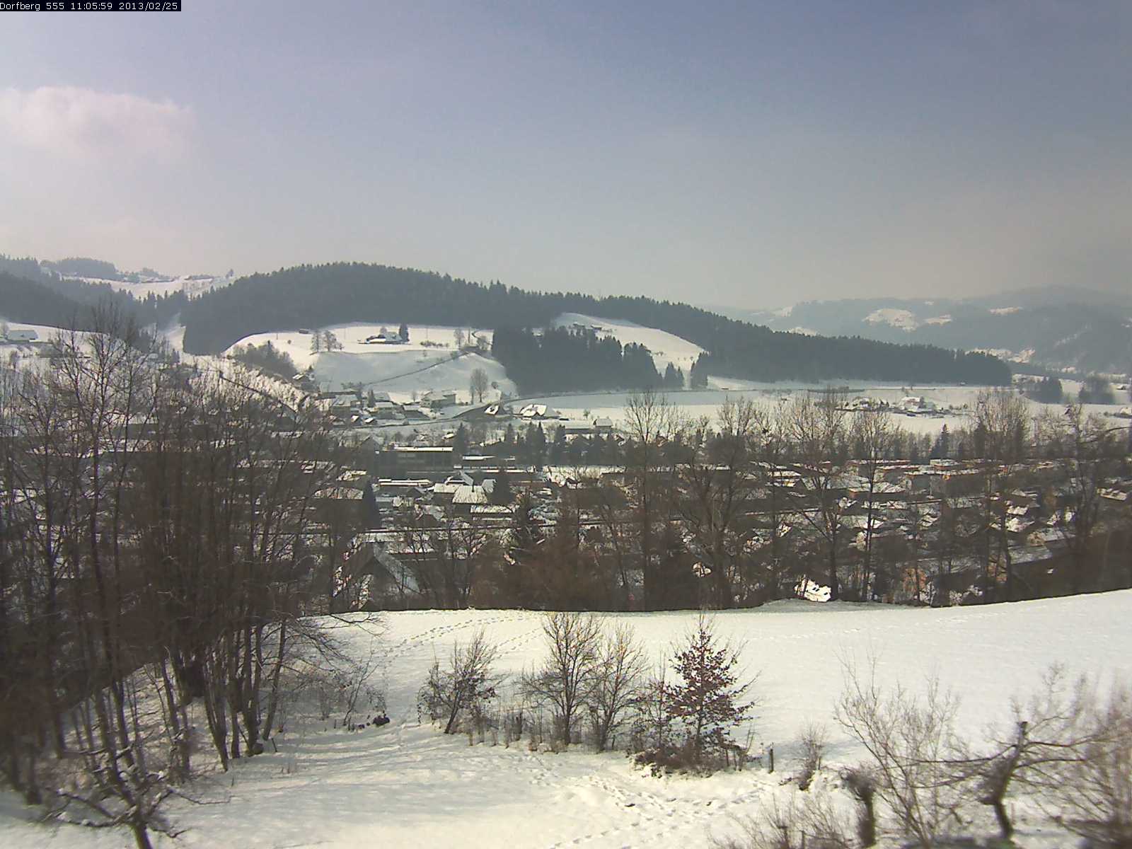 Webcam-Bild: Aussicht vom Dorfberg in Langnau 20130225-110600