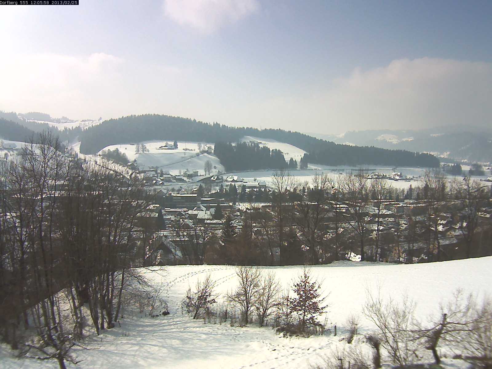 Webcam-Bild: Aussicht vom Dorfberg in Langnau 20130225-120600