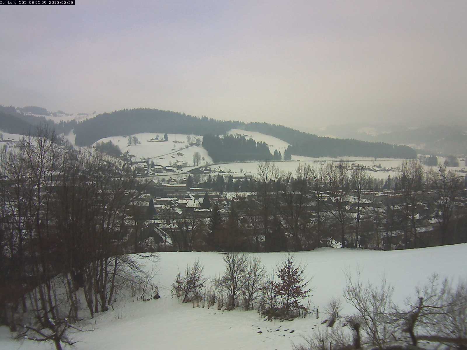 Webcam-Bild: Aussicht vom Dorfberg in Langnau 20130228-080600