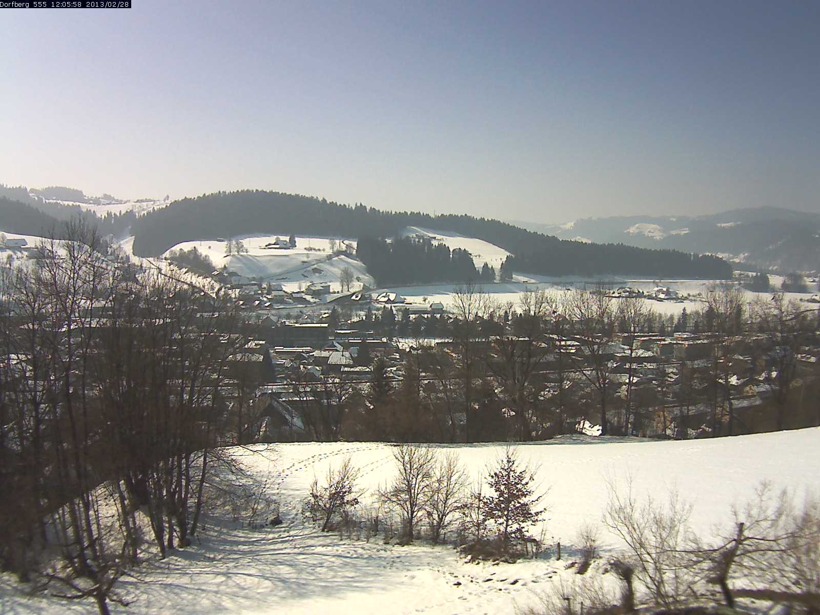 Webcam-Bild: Aussicht vom Dorfberg in Langnau 20130228-120600