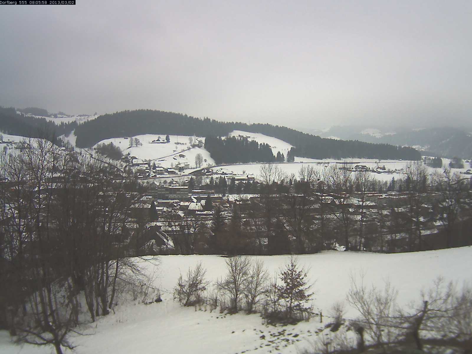 Webcam-Bild: Aussicht vom Dorfberg in Langnau 20130302-080600