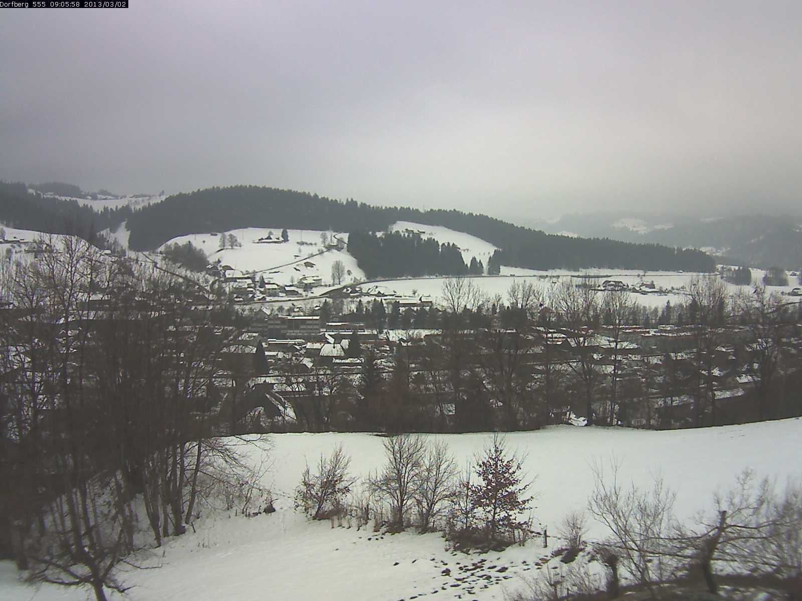 Webcam-Bild: Aussicht vom Dorfberg in Langnau 20130302-090600