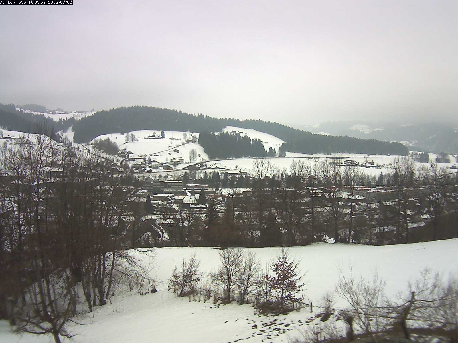 Webcam-Bild: Aussicht vom Dorfberg in Langnau 20130302-100600