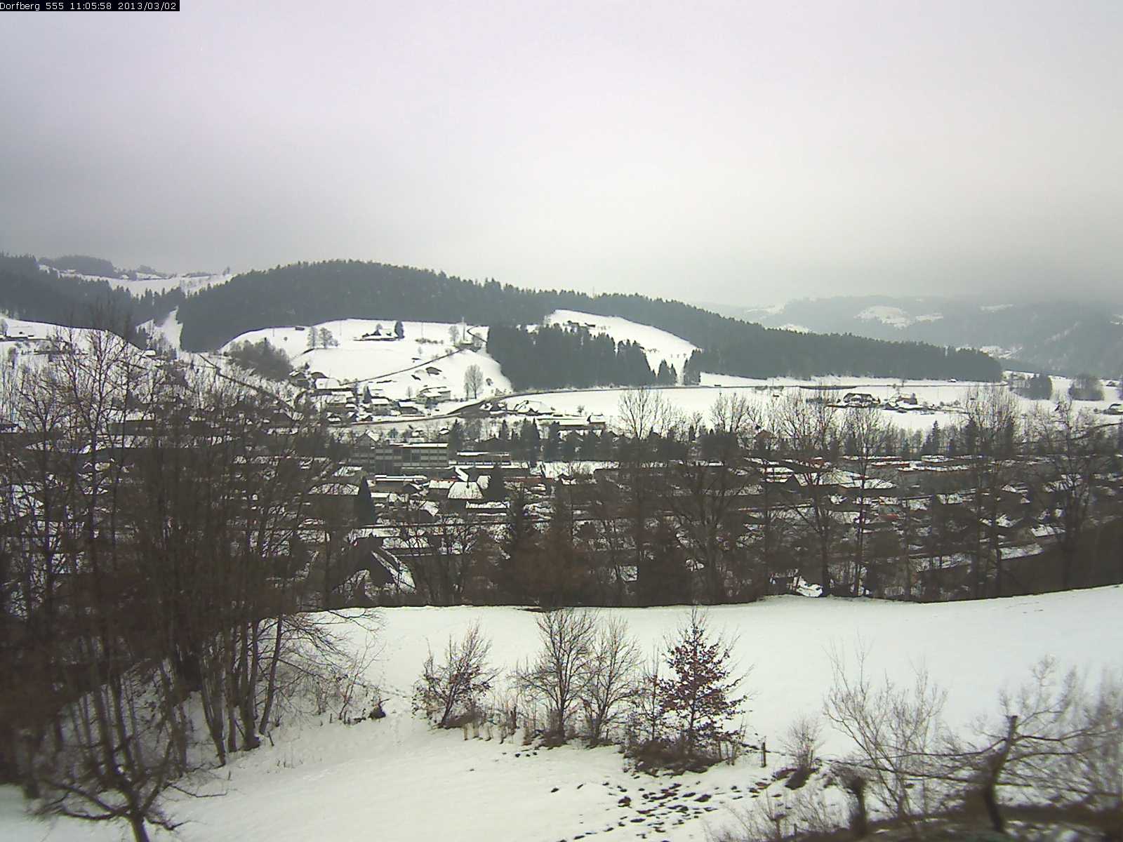 Webcam-Bild: Aussicht vom Dorfberg in Langnau 20130302-110600