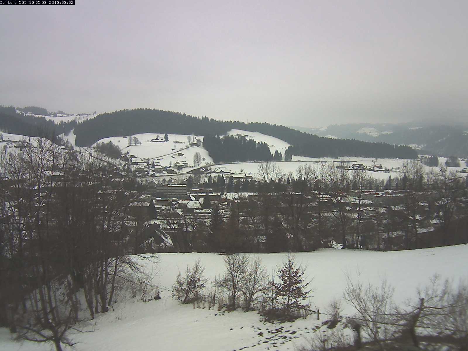 Webcam-Bild: Aussicht vom Dorfberg in Langnau 20130302-120600