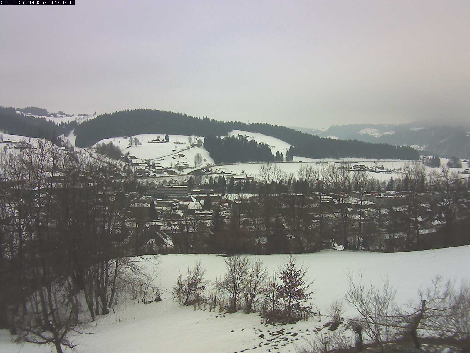 Webcam-Bild: Aussicht vom Dorfberg in Langnau 20130302-140600