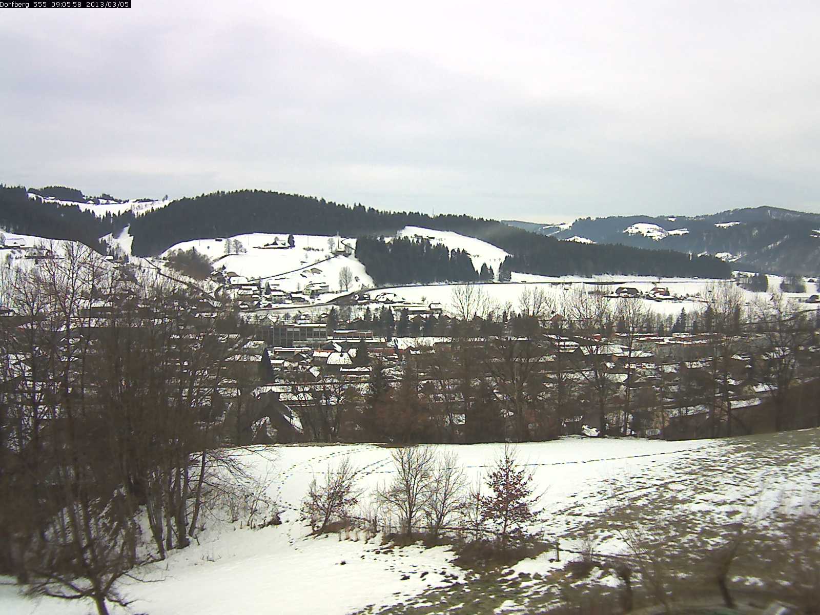 Webcam-Bild: Aussicht vom Dorfberg in Langnau 20130305-090600