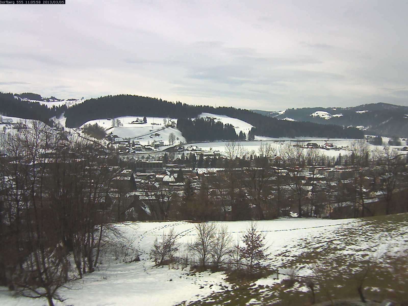 Webcam-Bild: Aussicht vom Dorfberg in Langnau 20130305-110600