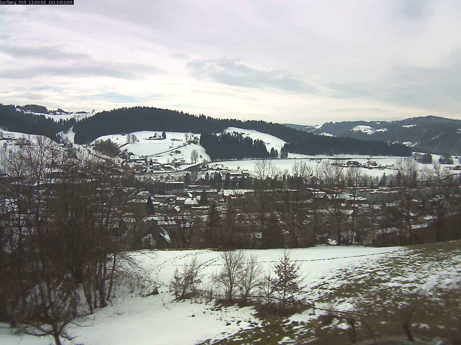 Webcam-Bild: Aussicht vom Dorfberg in Langnau 20130305-120600