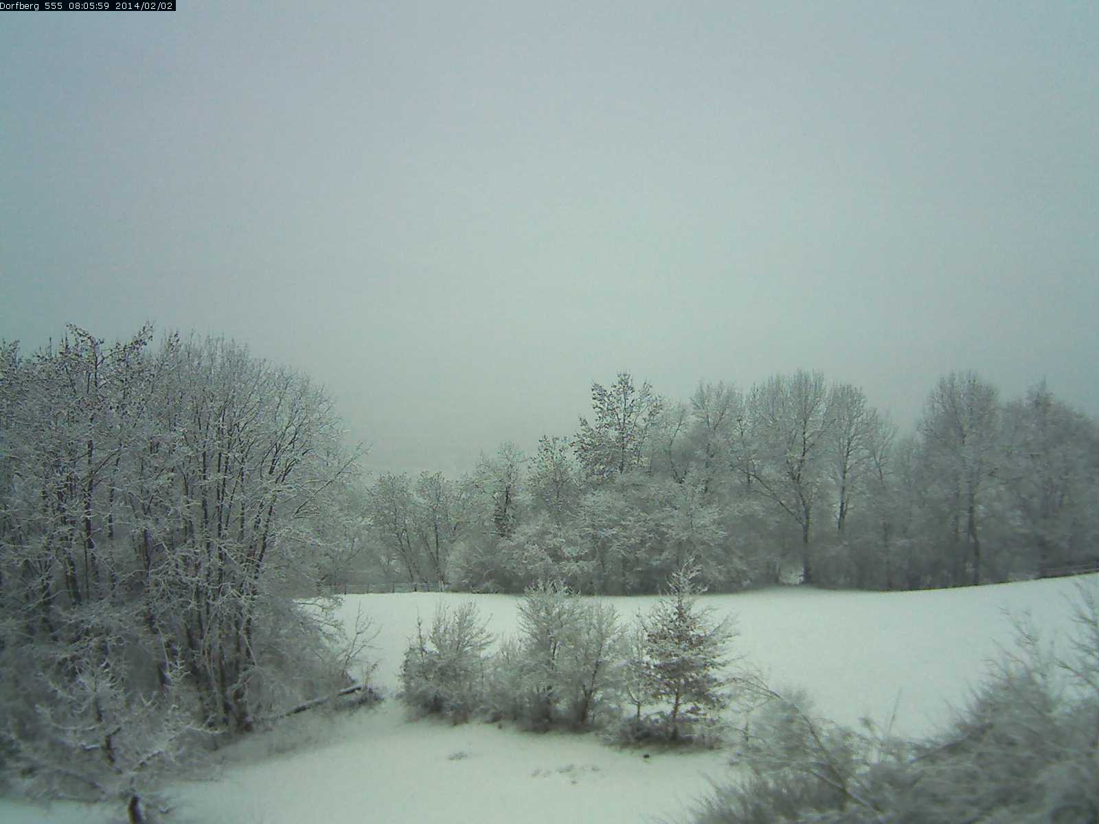 Webcam-Bild: Aussicht vom Dorfberg in Langnau 20140202-080600