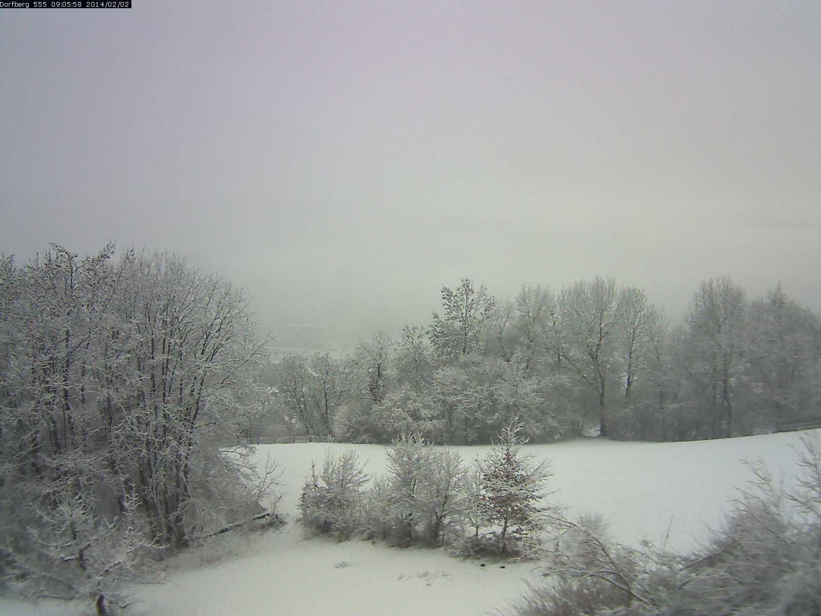 Webcam-Bild: Aussicht vom Dorfberg in Langnau 20140202-090600