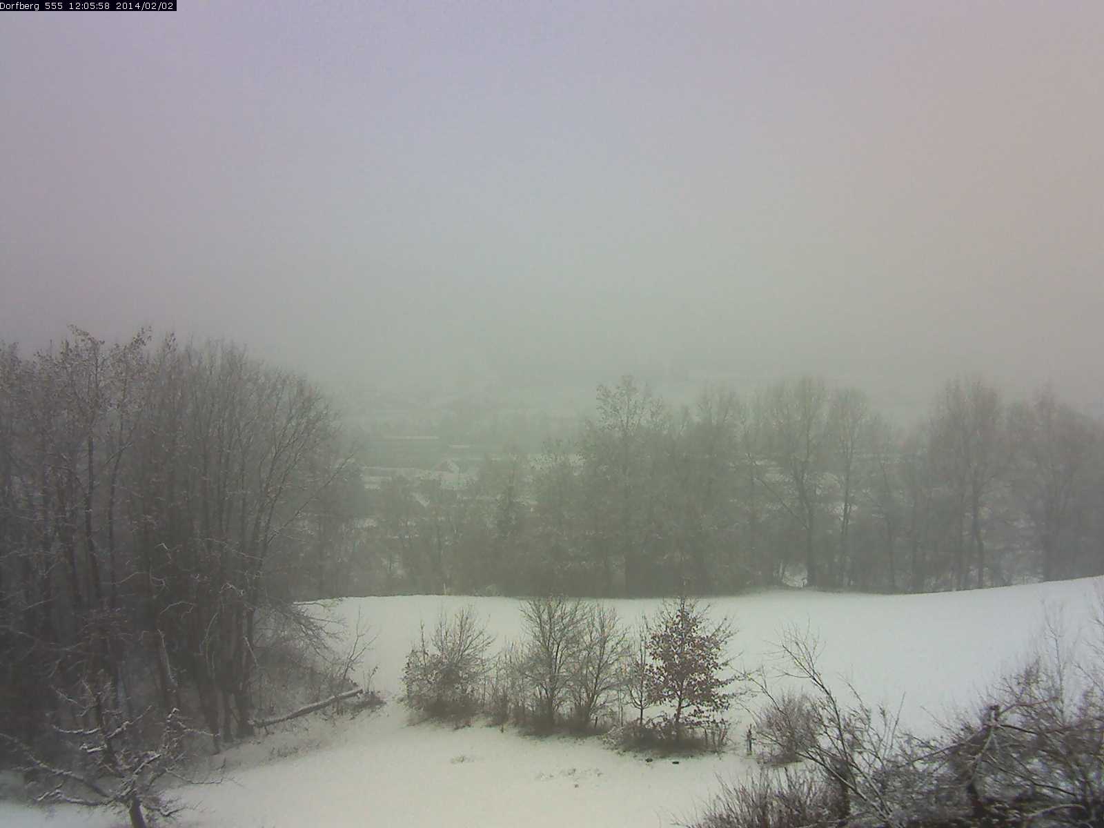 Webcam-Bild: Aussicht vom Dorfberg in Langnau 20140202-120600