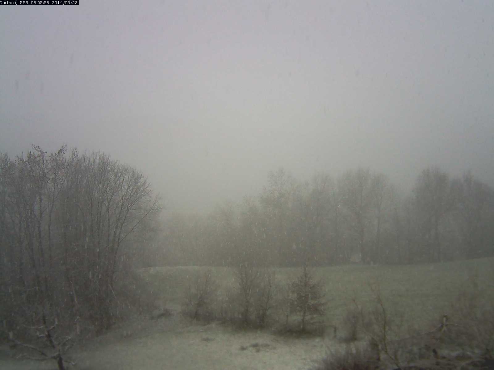 Webcam-Bild: Aussicht vom Dorfberg in Langnau 20140323-080600