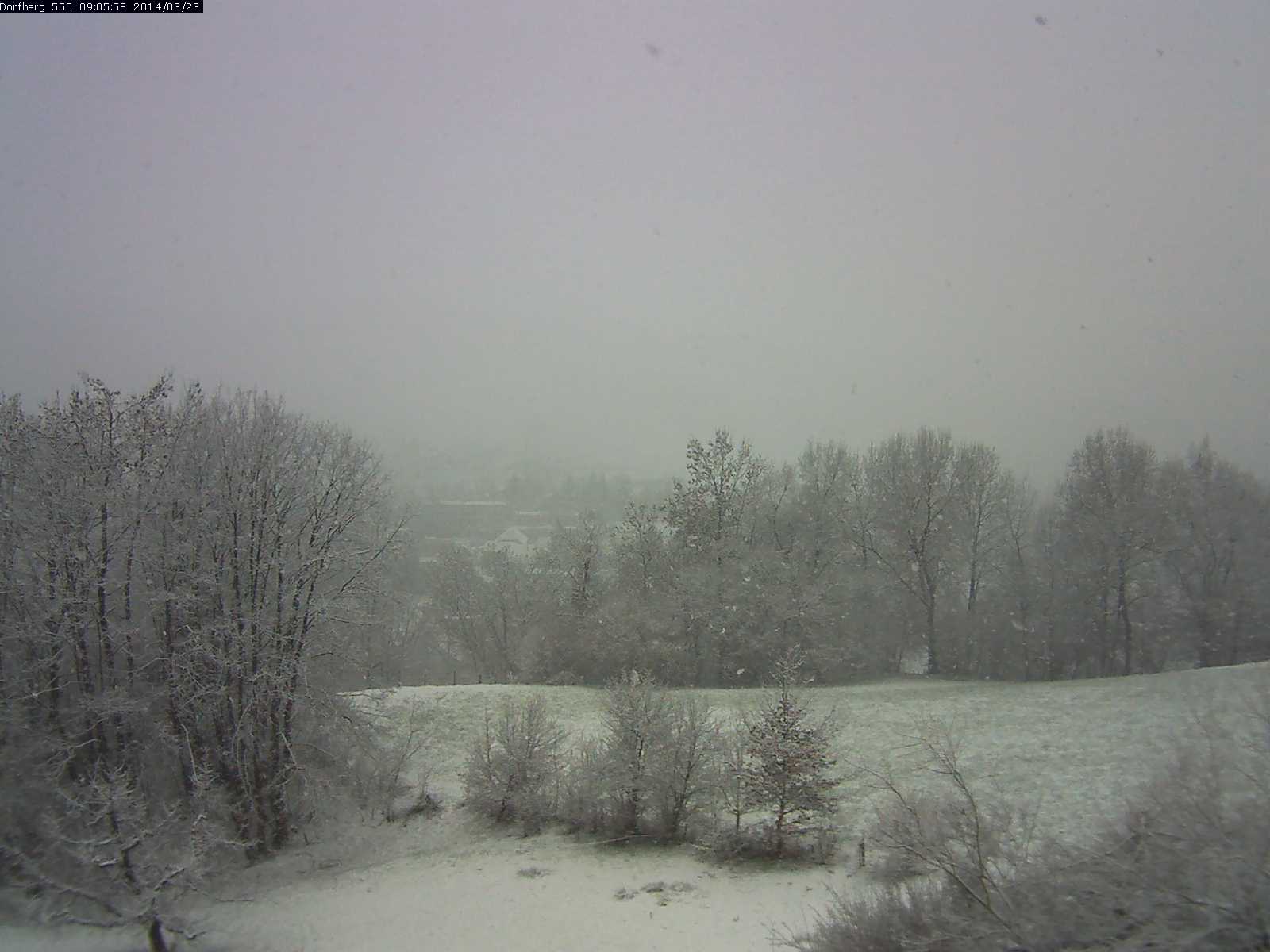 Webcam-Bild: Aussicht vom Dorfberg in Langnau 20140323-090600