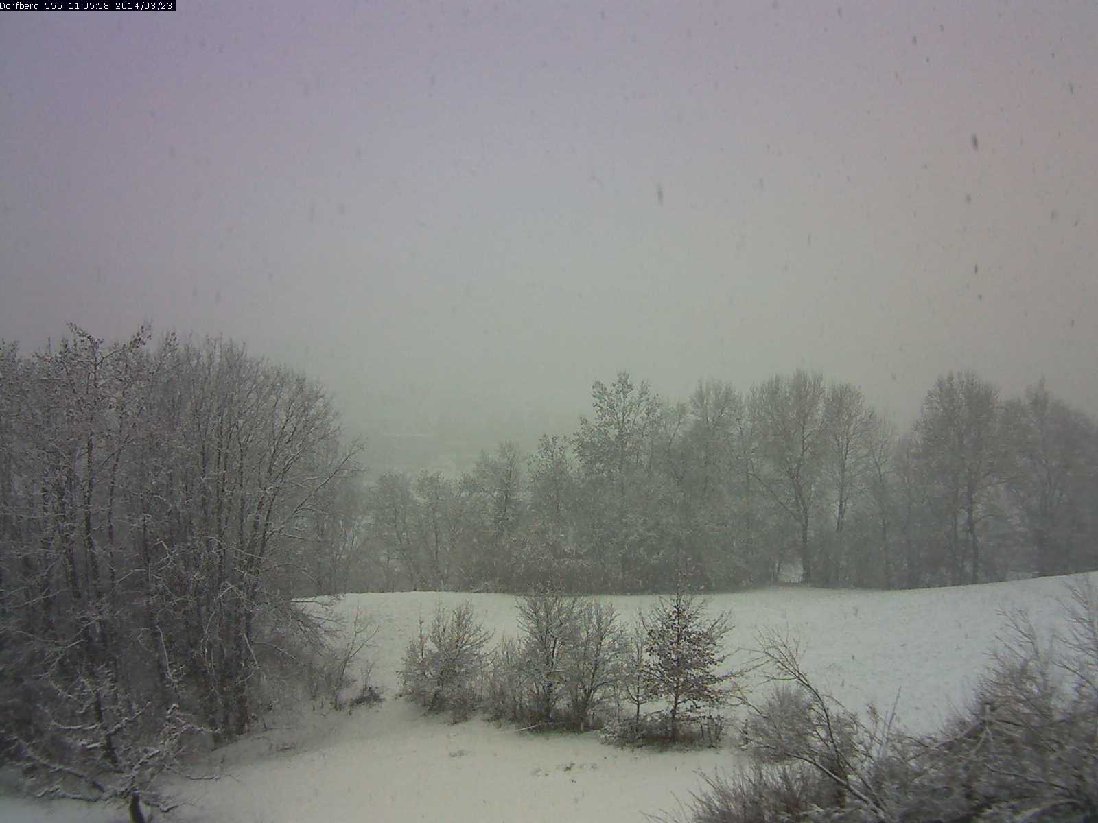 Webcam-Bild: Aussicht vom Dorfberg in Langnau 20140323-110600