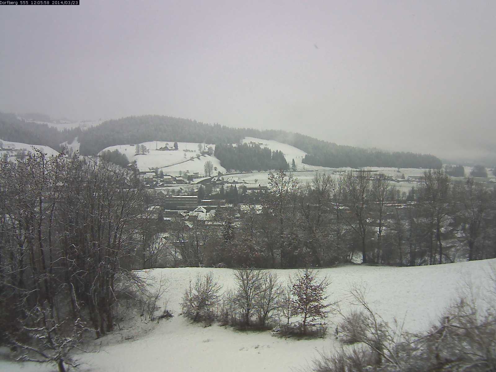 Webcam-Bild: Aussicht vom Dorfberg in Langnau 20140323-120600