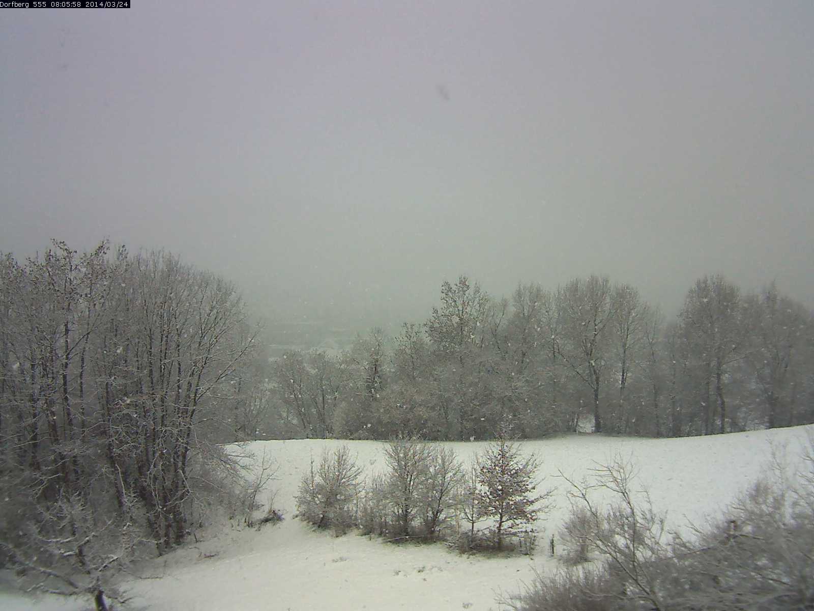 Webcam-Bild: Aussicht vom Dorfberg in Langnau 20140324-080600