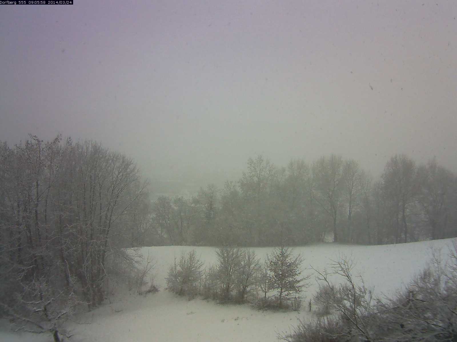 Webcam-Bild: Aussicht vom Dorfberg in Langnau 20140324-090600