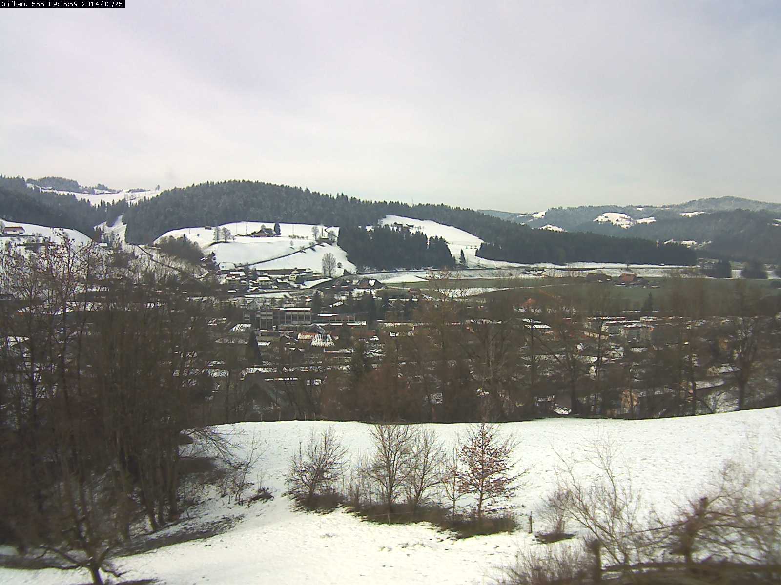 Webcam-Bild: Aussicht vom Dorfberg in Langnau 20140325-090600