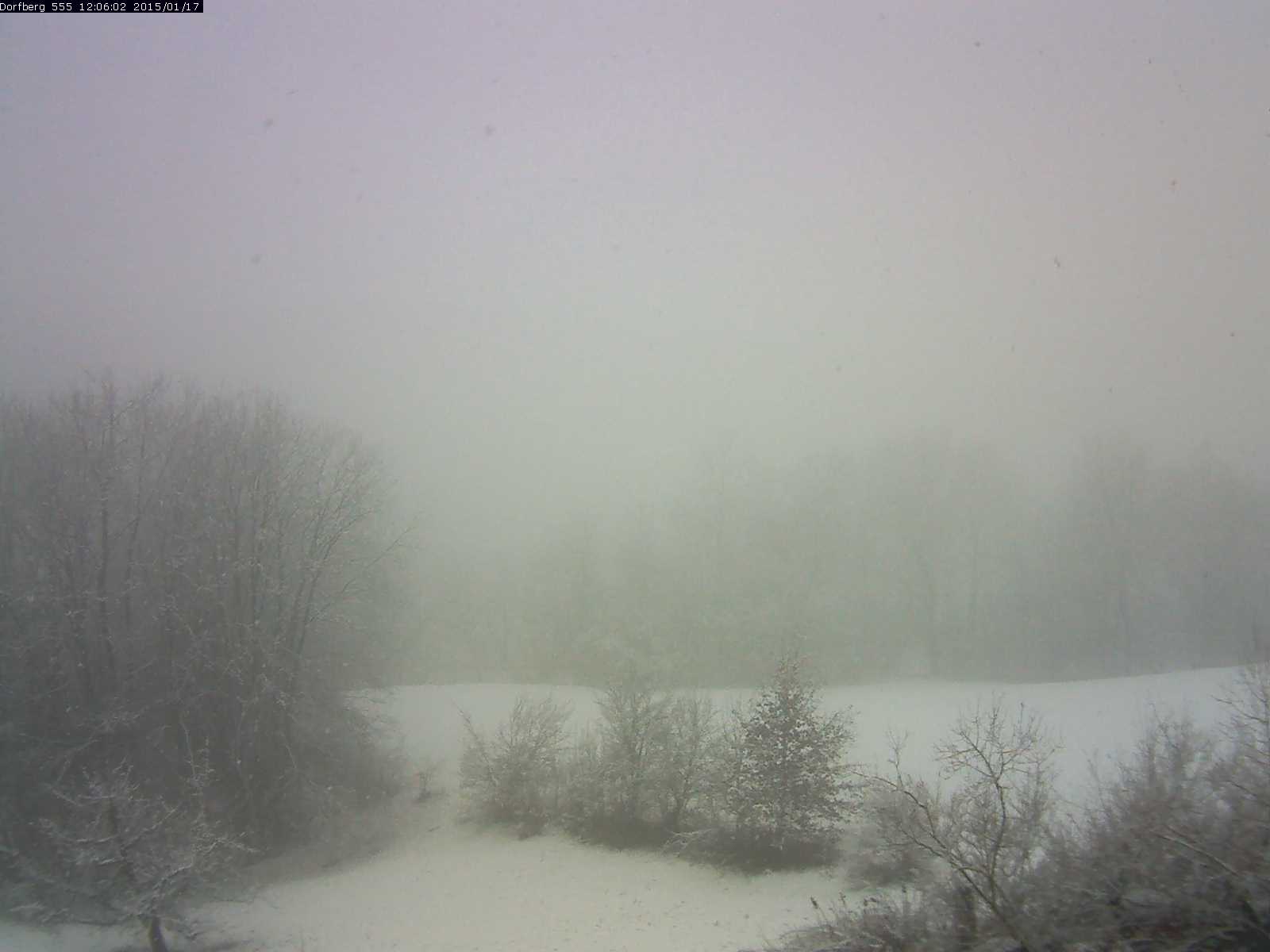 Webcam-Bild: Aussicht vom Dorfberg in Langnau 20150117-120601