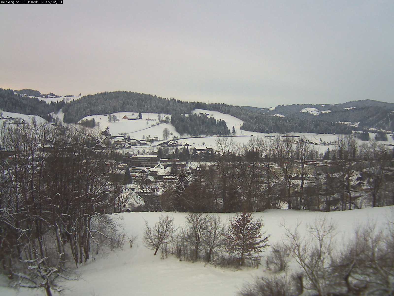Webcam-Bild: Aussicht vom Dorfberg in Langnau 20150203-080601