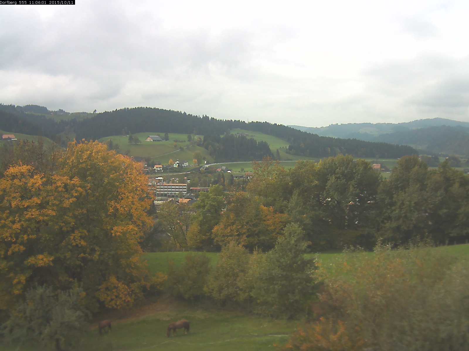 Webcam-Bild: Aussicht vom Dorfberg in Langnau 20151011-110601