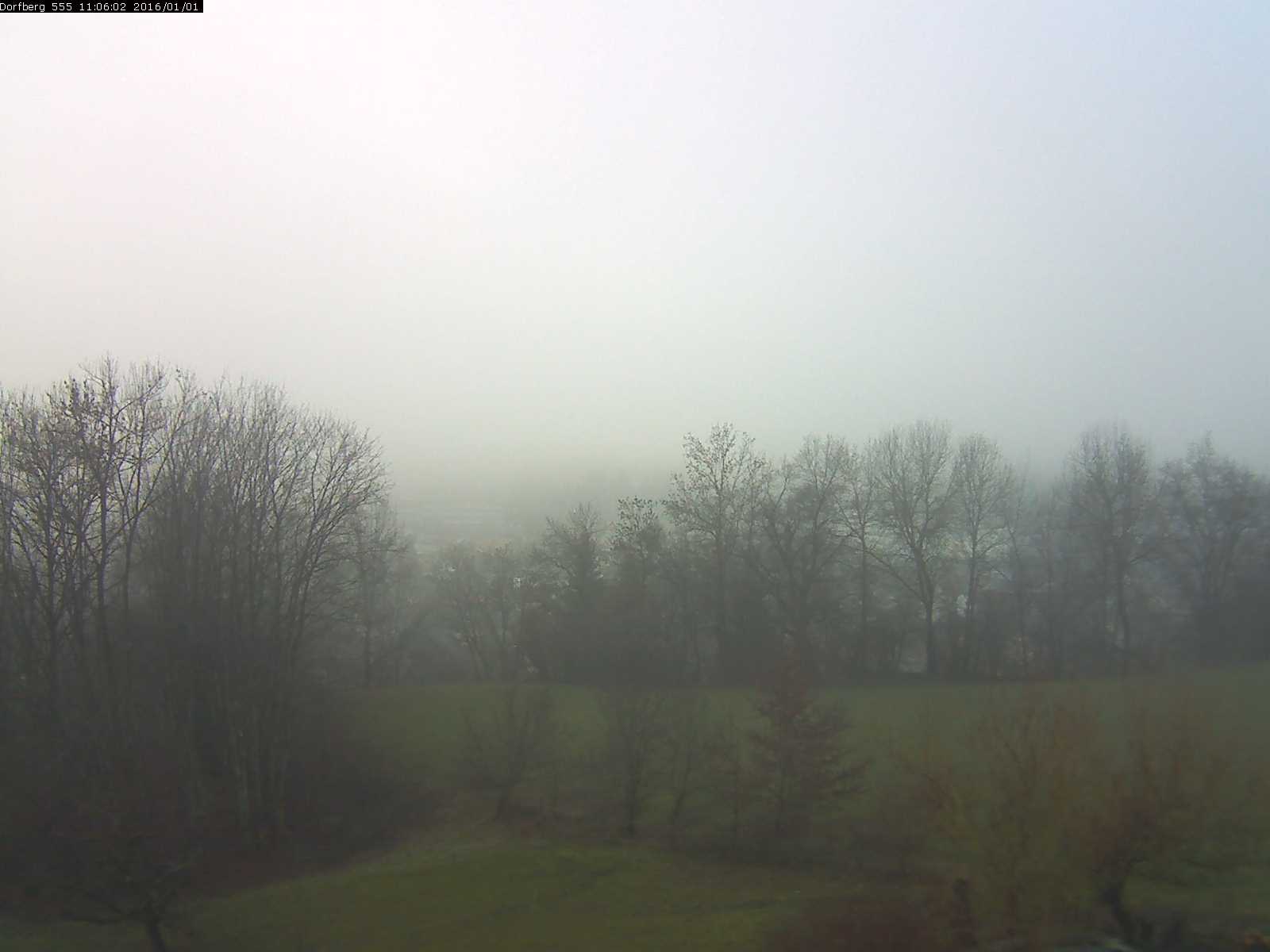 Webcam-Bild: Aussicht vom Dorfberg in Langnau 20160101-110601