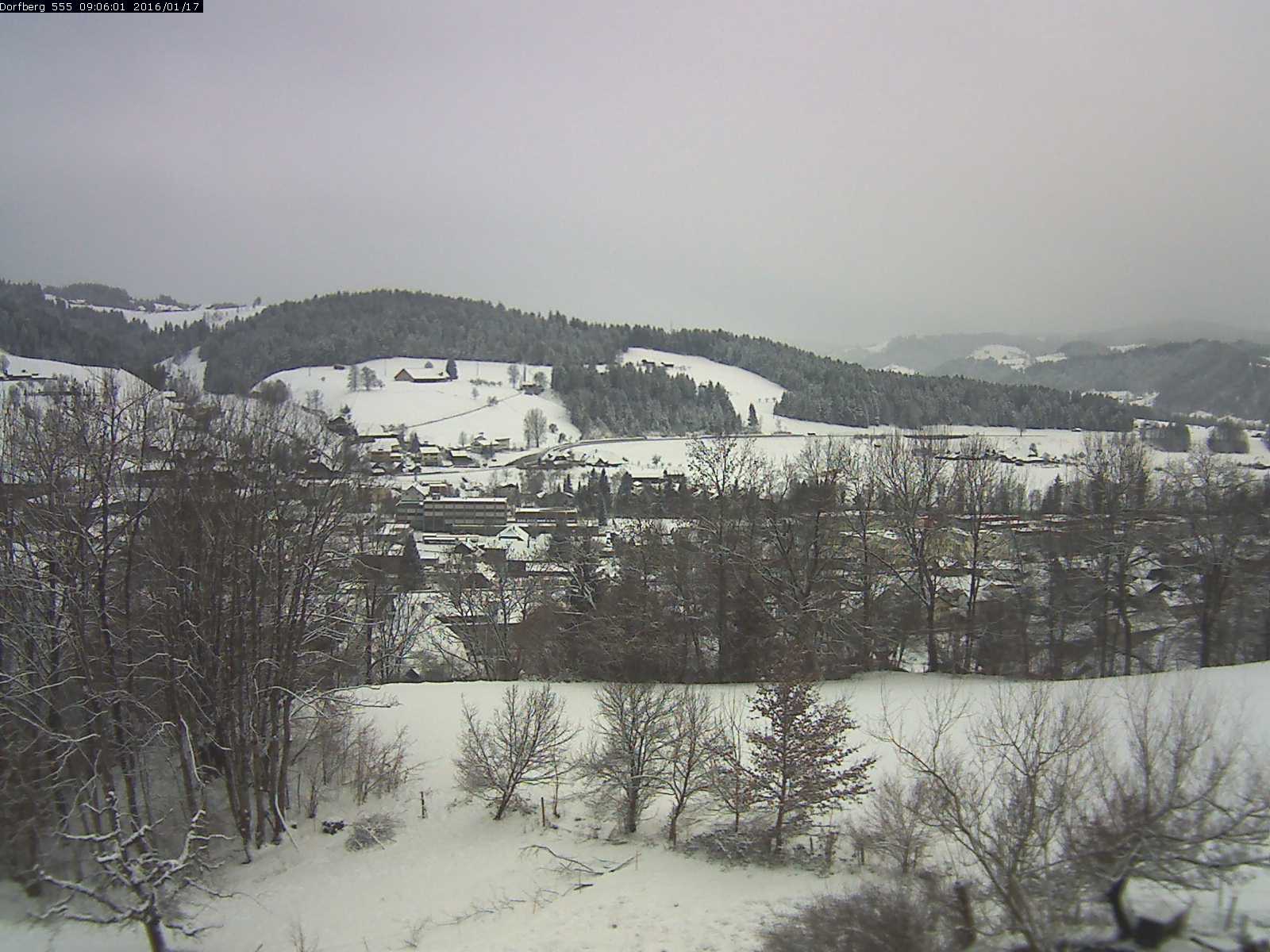 Webcam-Bild: Aussicht vom Dorfberg in Langnau 20160117-090601