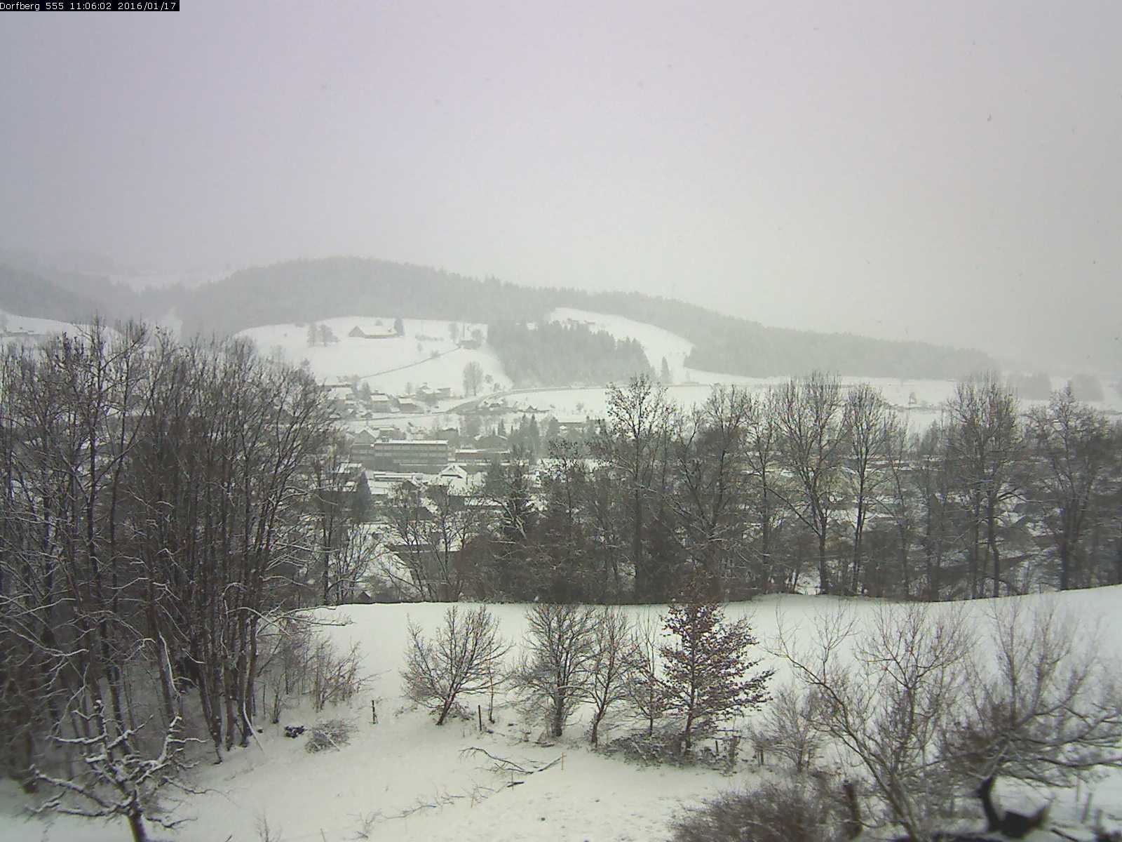Webcam-Bild: Aussicht vom Dorfberg in Langnau 20160117-110601