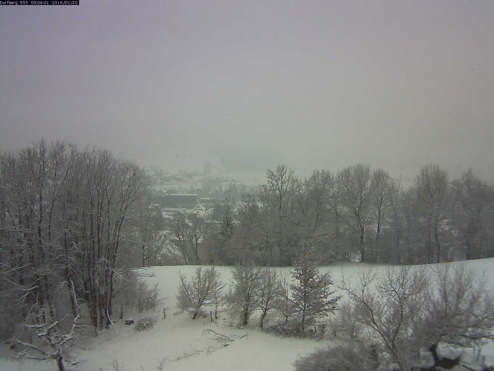 Webcam-Bild: Aussicht vom Dorfberg in Langnau 20160120-090601