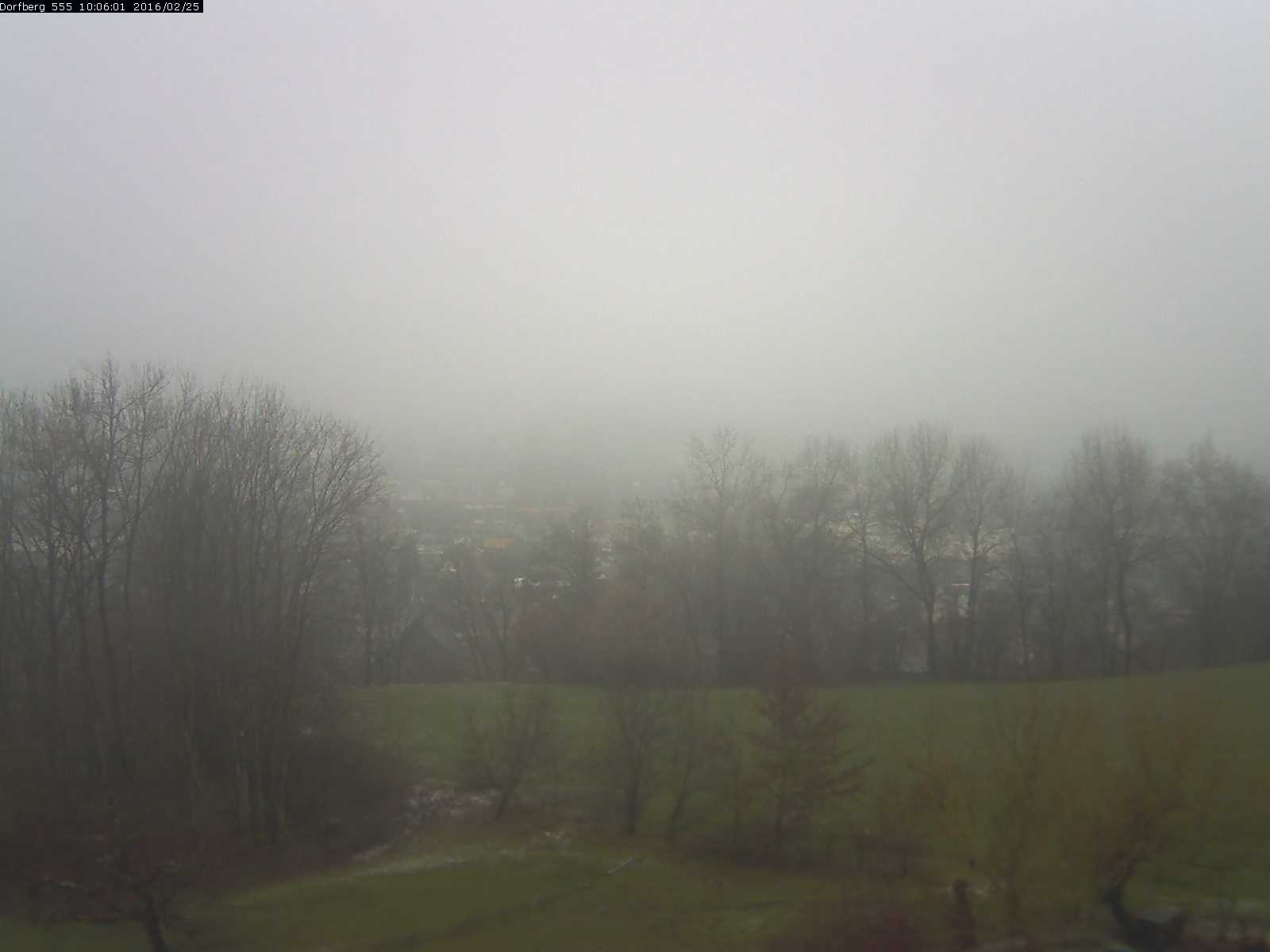 Webcam-Bild: Aussicht vom Dorfberg in Langnau 20160225-100601