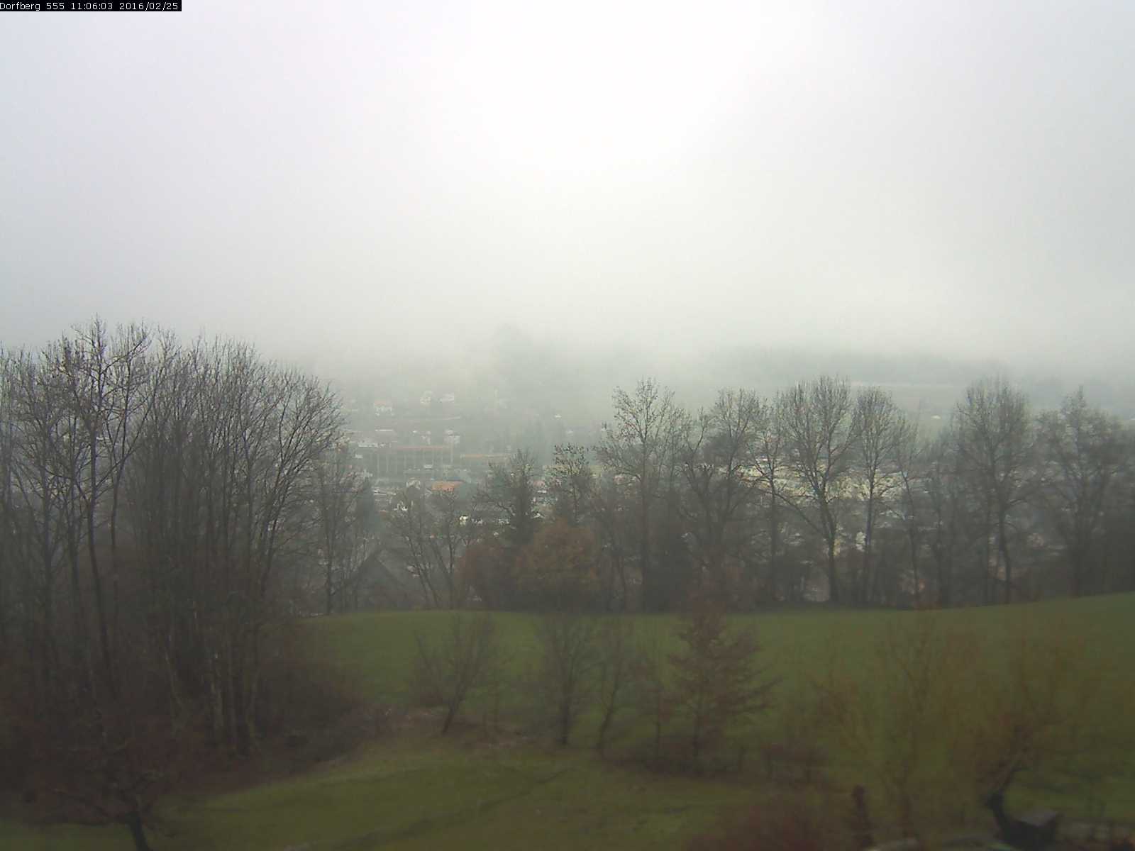 Webcam-Bild: Aussicht vom Dorfberg in Langnau 20160225-110601